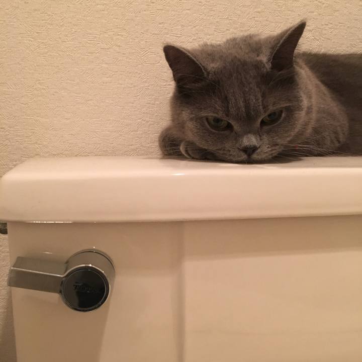 7d0ade3c f62f 41b5 9cee f45047e952e2