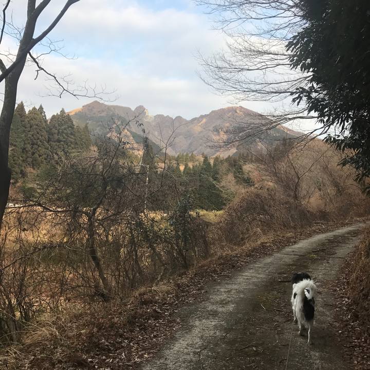 7d0afc6a 807f 4440 a279 5383de8be284