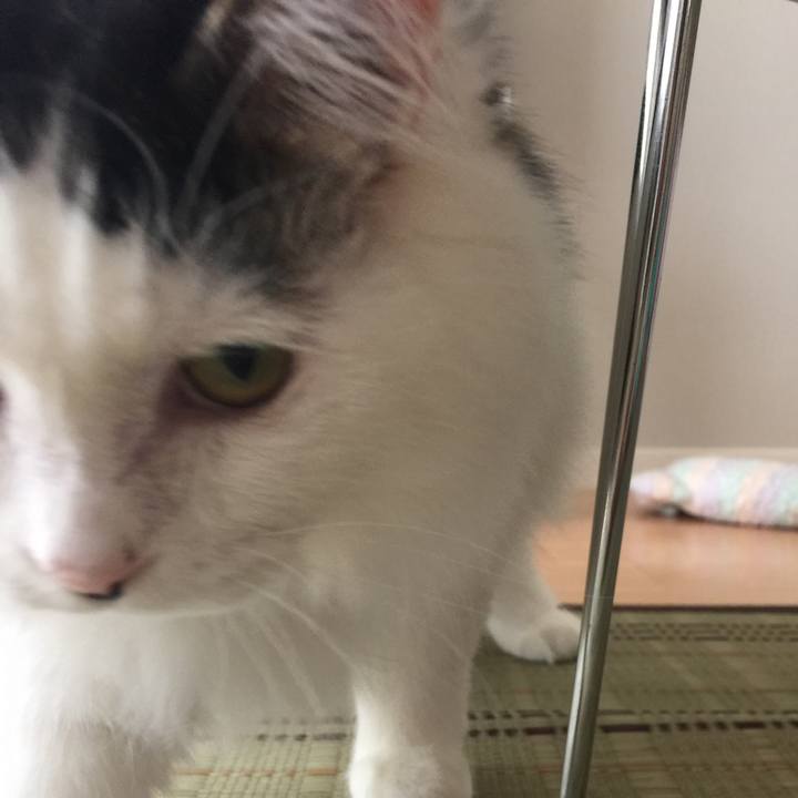 7d0b2942 6000 4238 8119 3d4ef298a27d