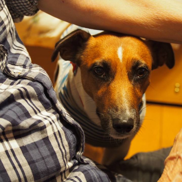 7d0b4844 9271 4935 b81b 39ec7772f2d8