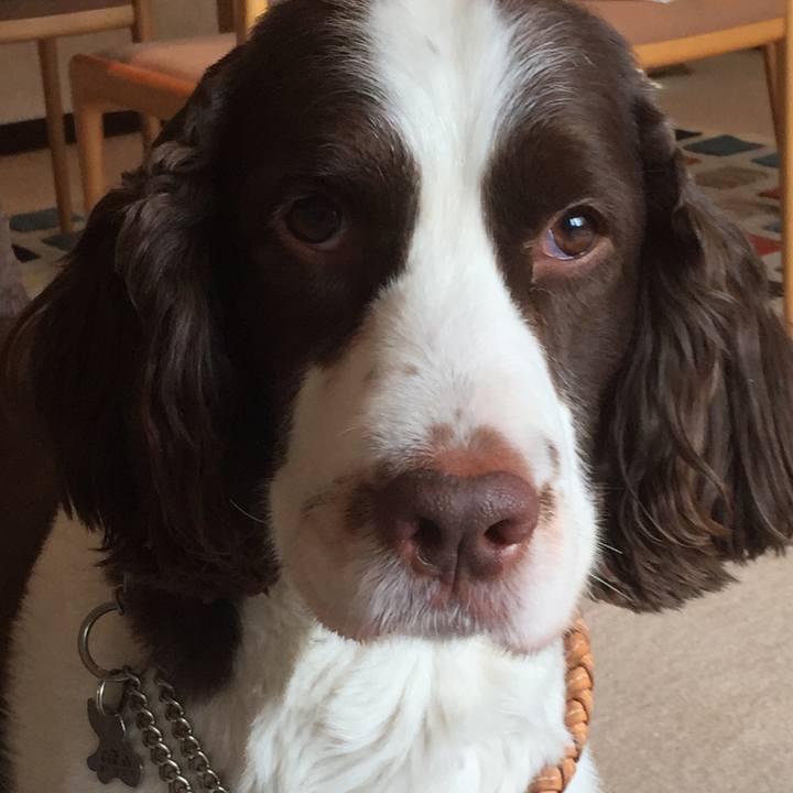 7d0b7854 2bf6 49f5 9fa8 2ec0adb1c2bb