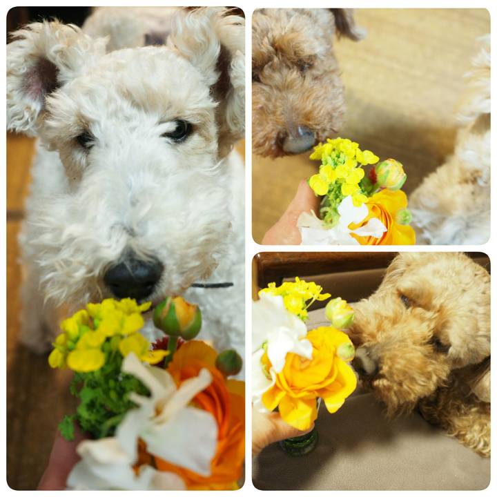 7d0b876c fb9d 44f3 9909 39a97df502c1