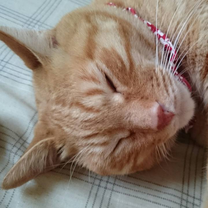 7d0c0660 9378 4a6e b880 e5457bc59640