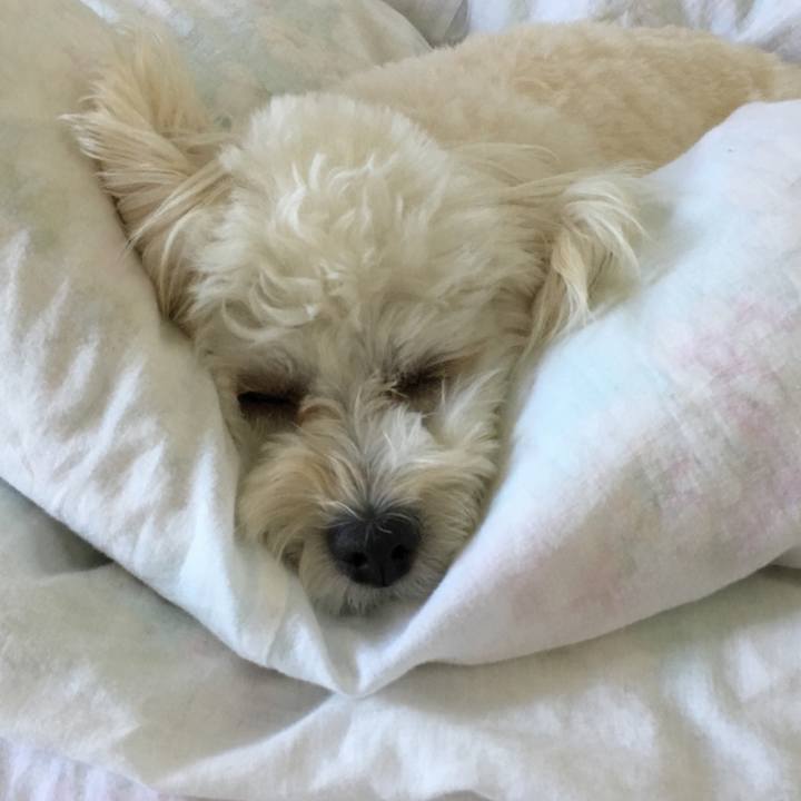 7d0c0b6a 8ab9 42d9 8248 1d741c91b5bb