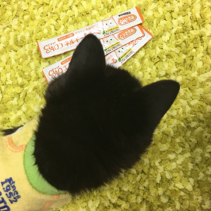 7d0c4693 5426 4f60 85ae 4035404e67f1