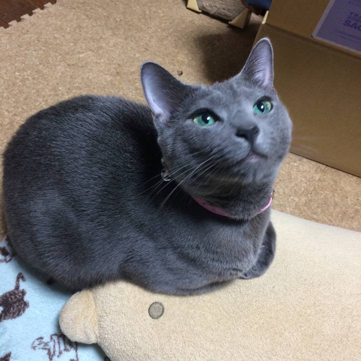 7d0c5c7c cb68 4bec 9f0a 28018d5ef54e