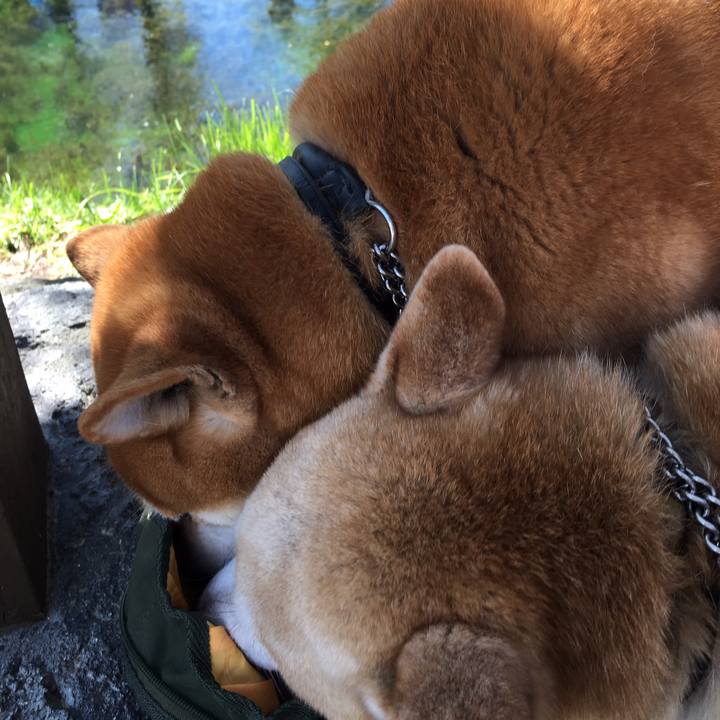 7d0cb196 44d5 4c74 839d bc1978dca6d2