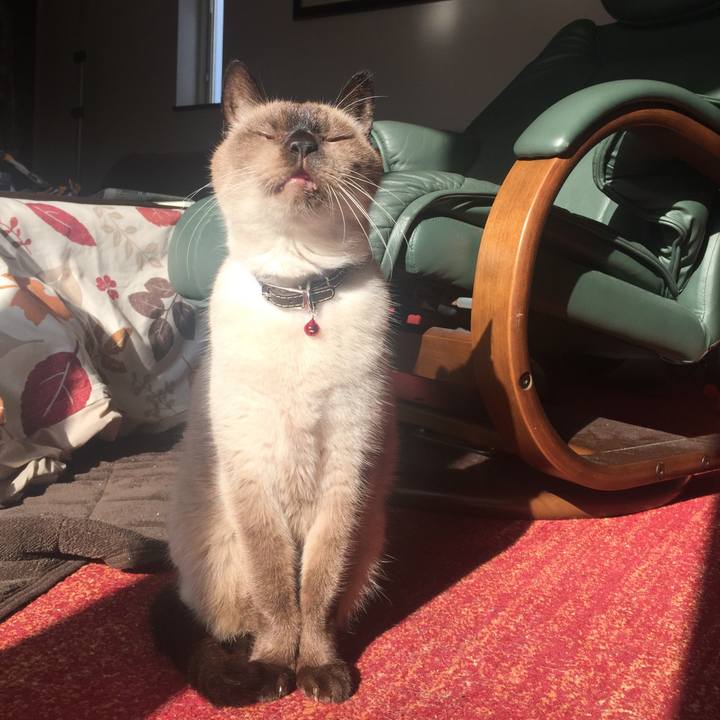 7d0d5975 ca8b 492d ab5f 588e27995fea