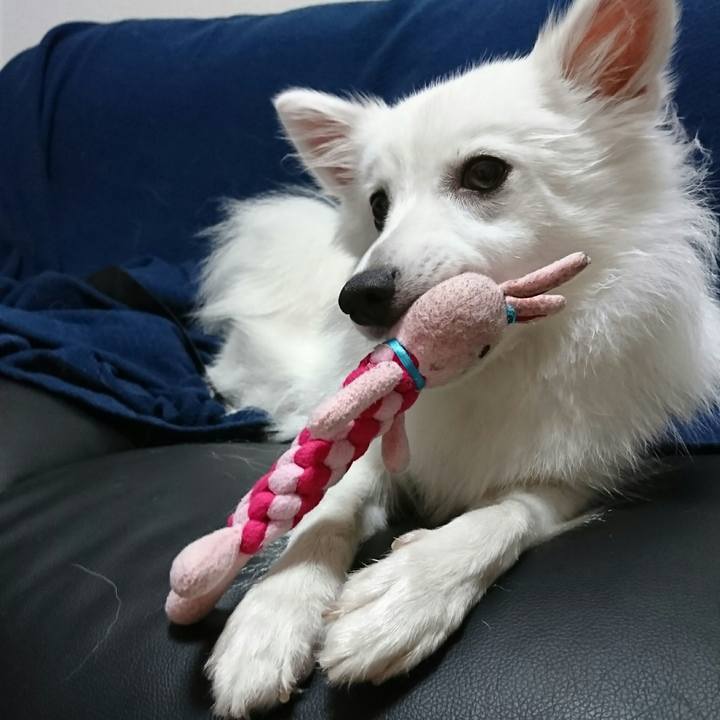 7d0d8b8f db09 4d57 a86b d8b6b04f0508