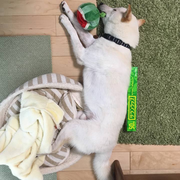 7d0e92ca 1022 4eb3 aeee 5d563377a47a