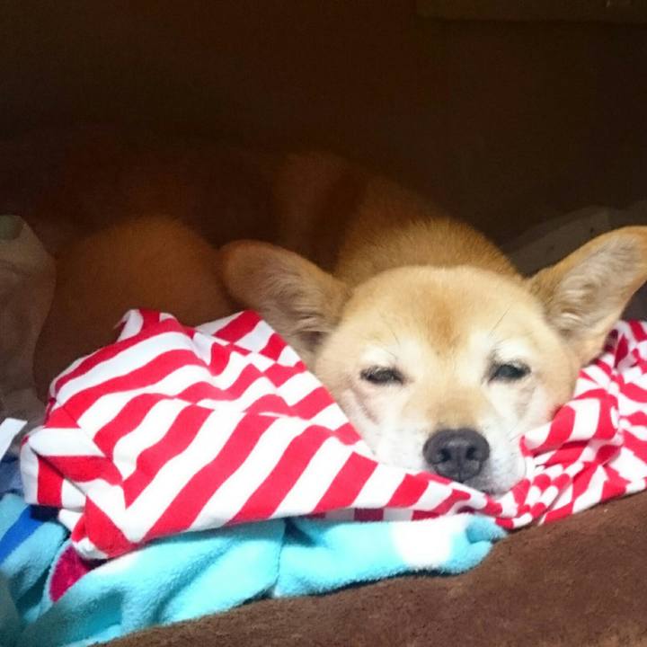 7d0ff883 b99f 41b4 8d5e cbb40993897c