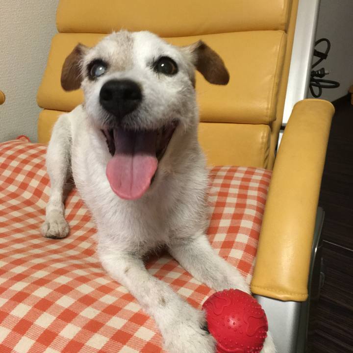 7d1007fe 2a71 458a 8b81 8c71ec153f66