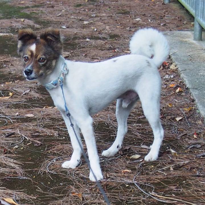 7d103578 1f98 4292 8832 e654b3896852