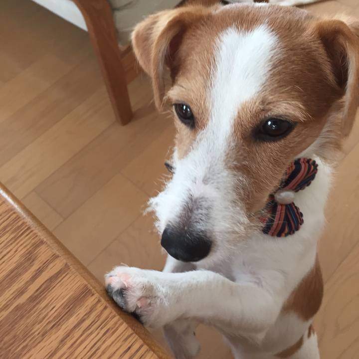 7d1076b2 4b99 4a7f a3f4 9f7b3e6baca3