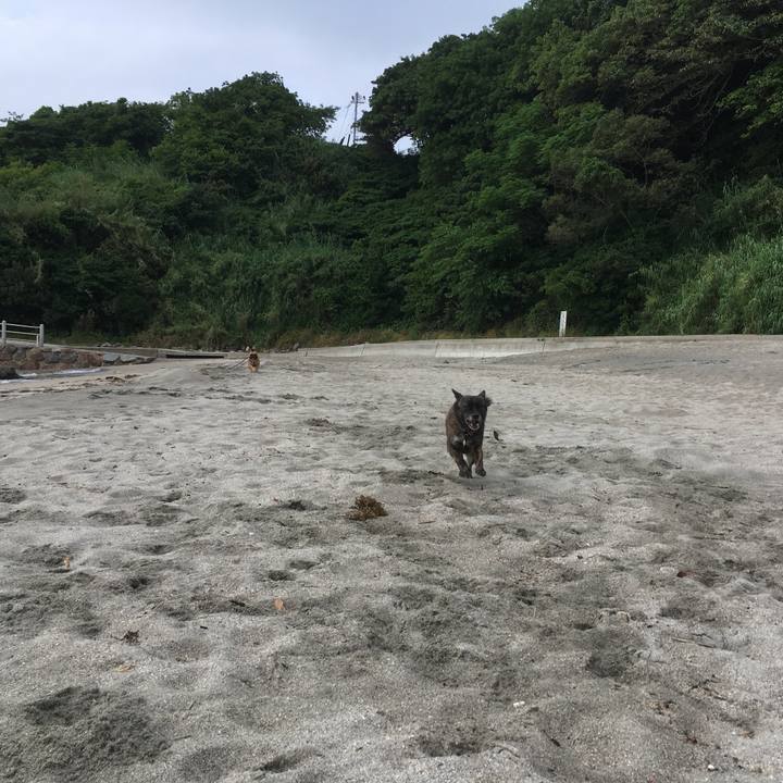 7d10e3bb e9e5 4e3c b97f f6cb31bb594f