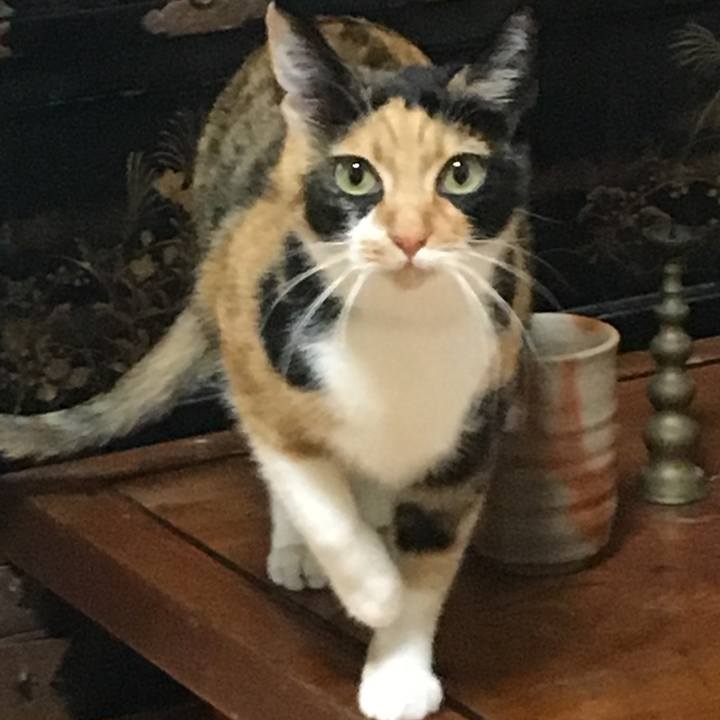 7d1175a5 d1cf 4d83 b7e8 5574c3a649ae