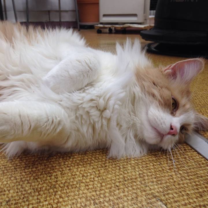 7d11c92d f781 4fa2 9aa9 6b8629140fe7