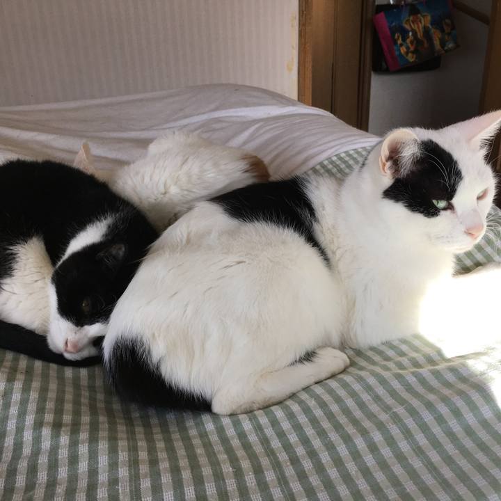 7d11d351 e91e 4fdf aa09 bc7784c60c49