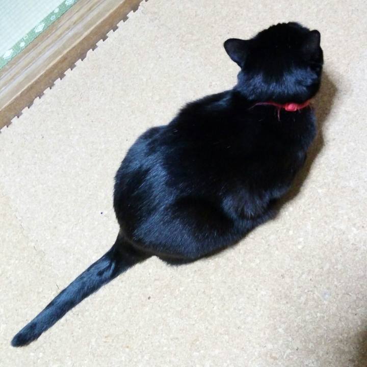 7d11ff54 c4c4 4dd8 82f8 946b7175d219