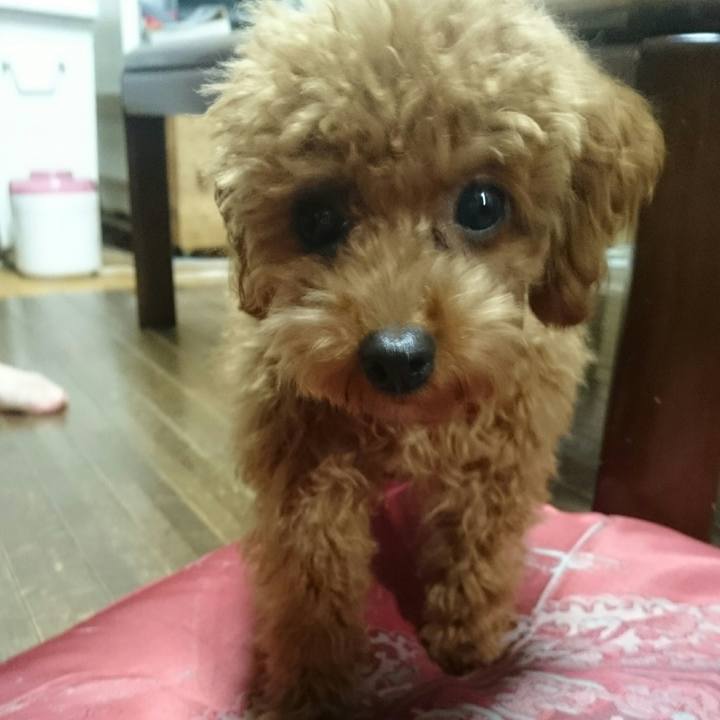 7d1211fb 0d02 44c4 819e abf1bc187d3b