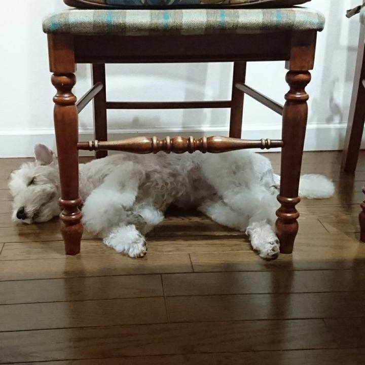 7d123297 fccf 4cbd b15d 491d58c56a86