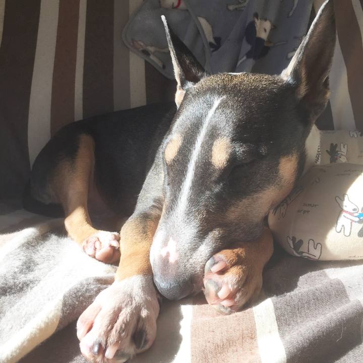 7d127896 7fa6 432b af37 94161f608150