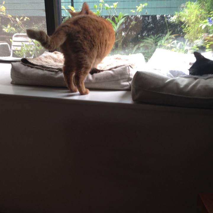 7d13825a 4a55 40cf a342 7b5e95064cd3