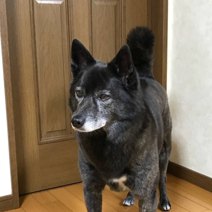 7d1420e1 0d4f 425c 897c 665c41d67c08