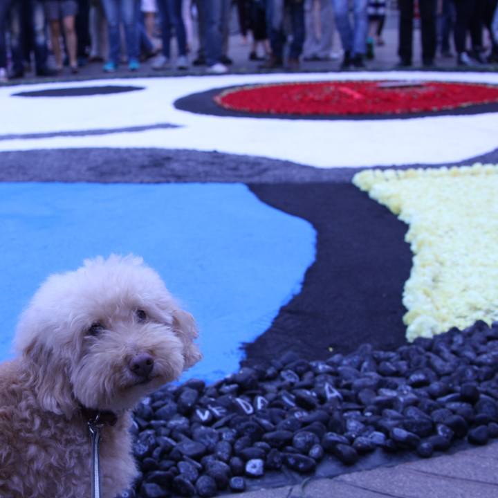 7d14928e 336f 44ff 979f d1720d233f15