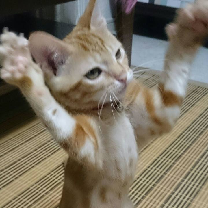 7d1558b9 f383 4027 a36d 5271c65ba1ce