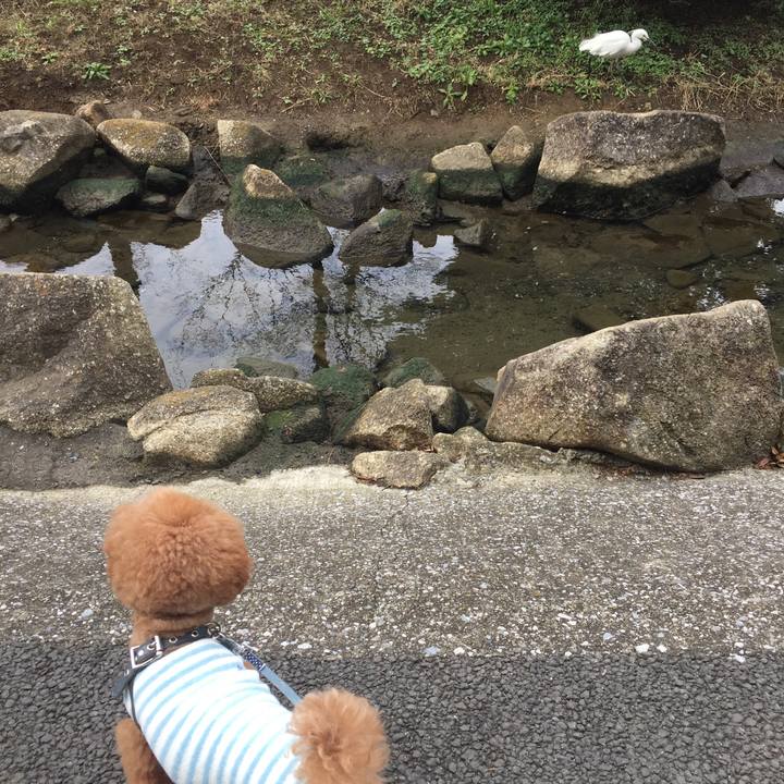 7d1569cc d5fd 454a 8af5 b090ea00c562