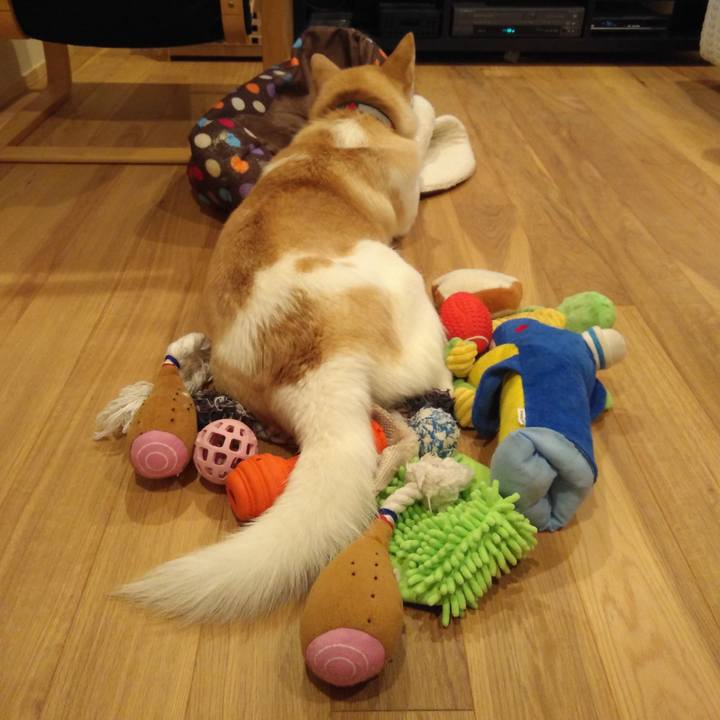 7d164883 362a 4094 96f2 60042ce99fdf