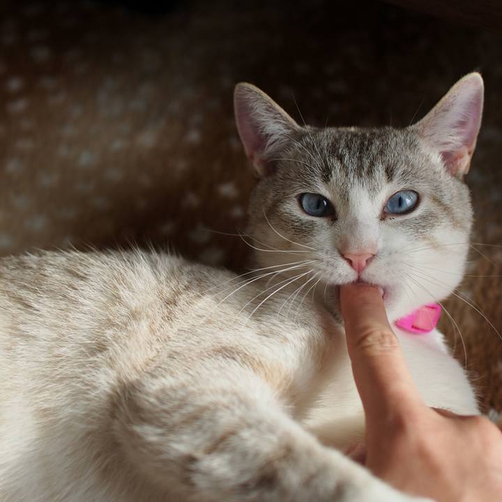 7d165580 f8a2 49bc ac62 8e2203b90fee