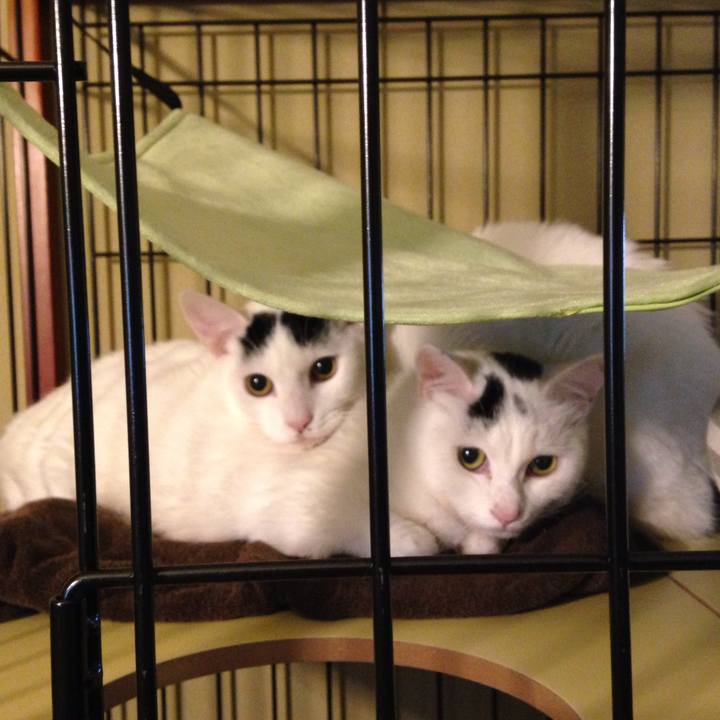 7d16ce57 ab23 42d8 9ffb bc766f704f4d