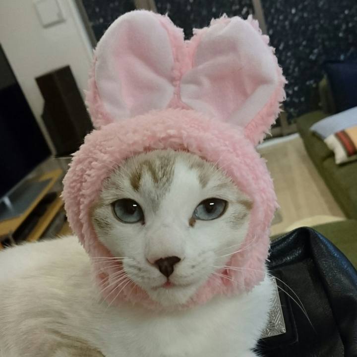 7d16de5d 58fb 4eaa bf55 e4da3a8939ff