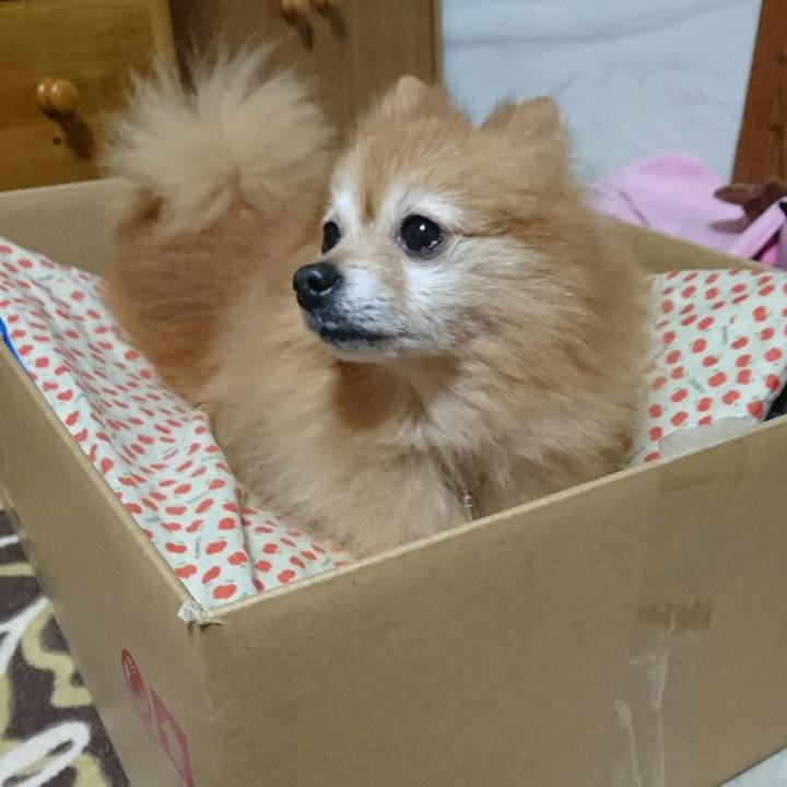 7d16ee94 63f2 47f7 8a5c c6cb40e2f7e6