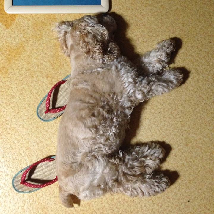 7d16f06f 319d 467e b8f3 d9d5829ab9fa