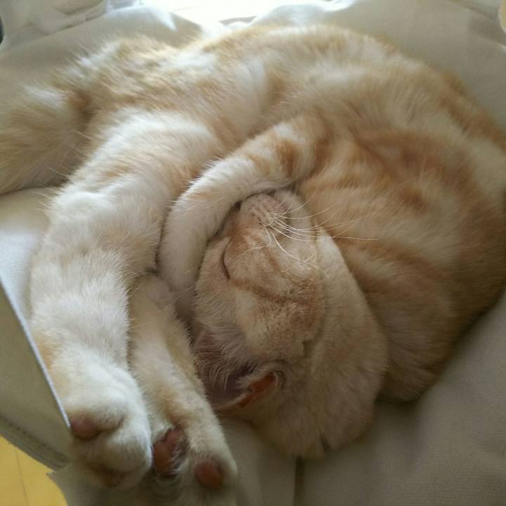 7d16f530 e54a 489b 8f7a 442b6e491c2a