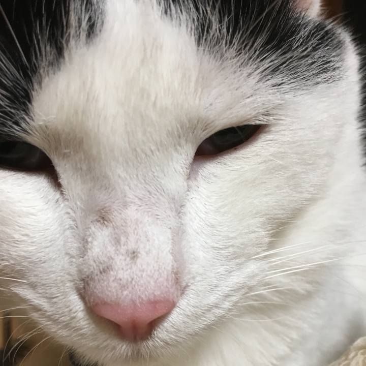 7d176659 42da 4645 ae85 4b1d858106ff