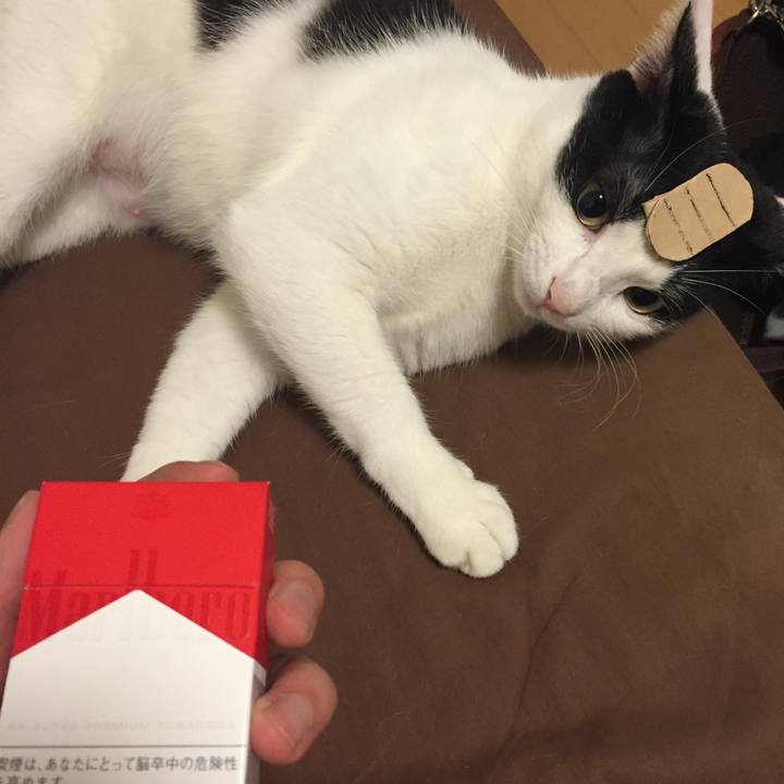 7d17c955 f270 4b41 96dd 91547a872a8e