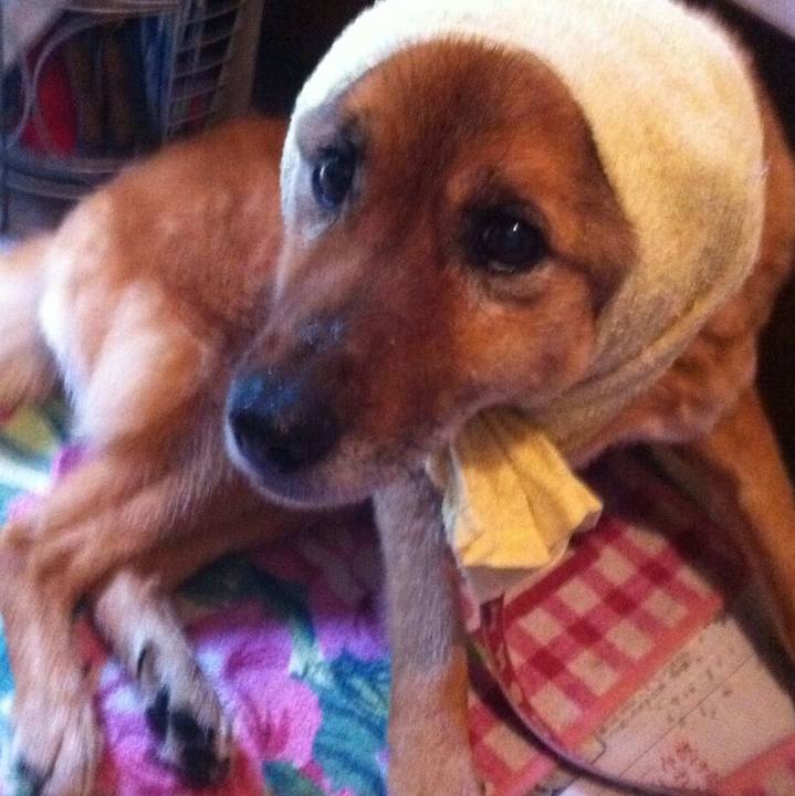 7d17ef93 888b 4195 8858 d43156aab6db