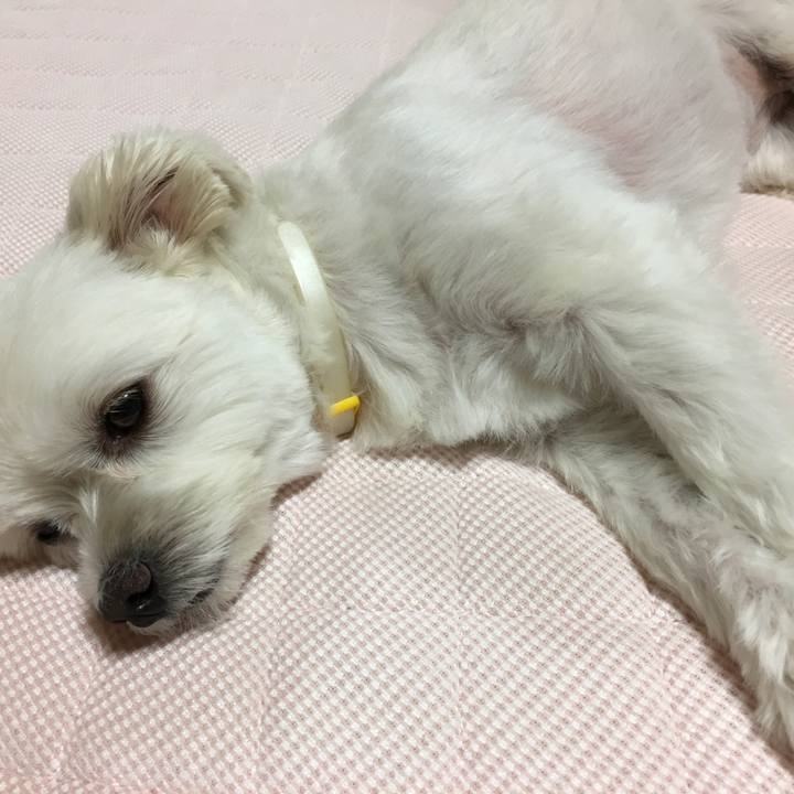 7d184729 bcd7 46ac aa10 733138ca96ad