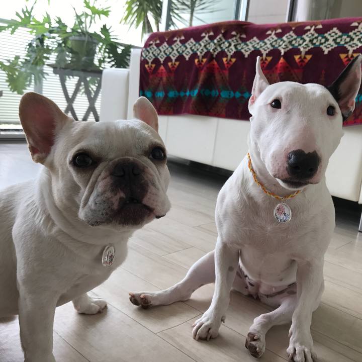 7d18a8a7 bd20 4a09 9029 5d4c39600fba