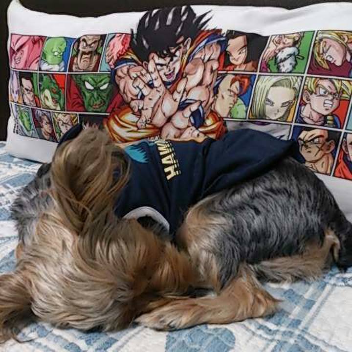 7d18a8fa eedc 4351 ba29 b561178aaab5