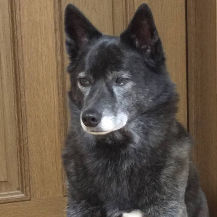 7d18ed14 8e23 4e41 a267 9a1ba9c09398