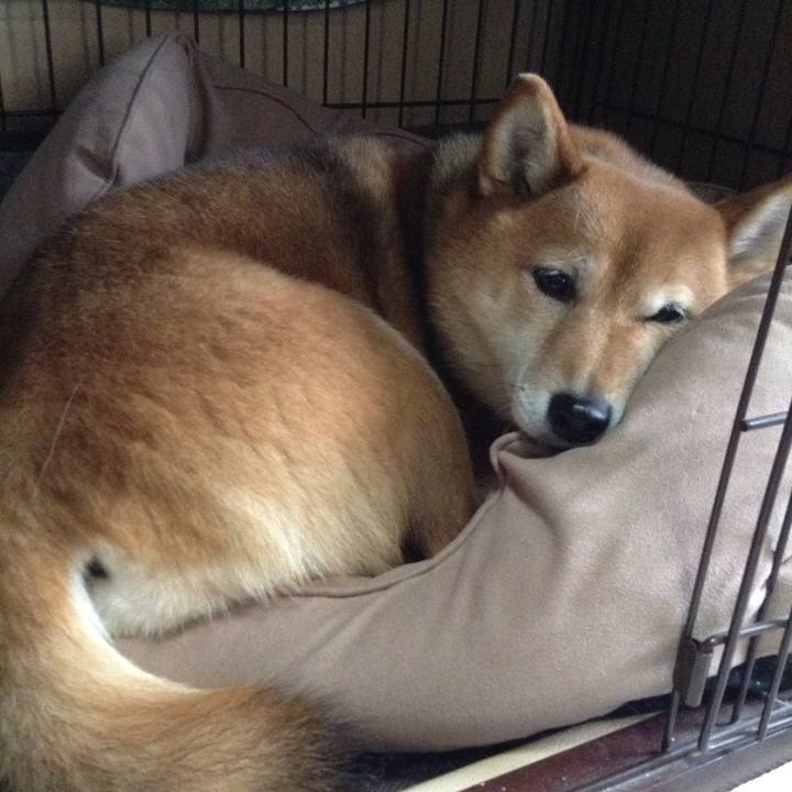 7d18fb4f 947c 47b5 a859 28d02cb8c7d6