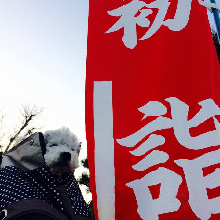 7d194251 9a0a 4b4d 8047 23f0c83538a5