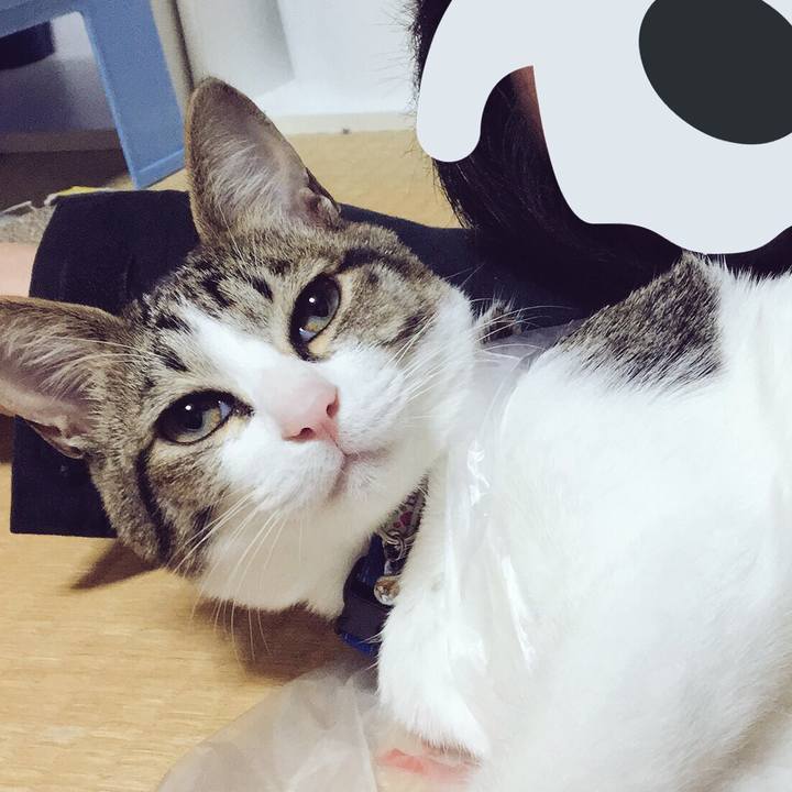 7d1944c2 f8d2 4bc2 937d 62da77cacc97