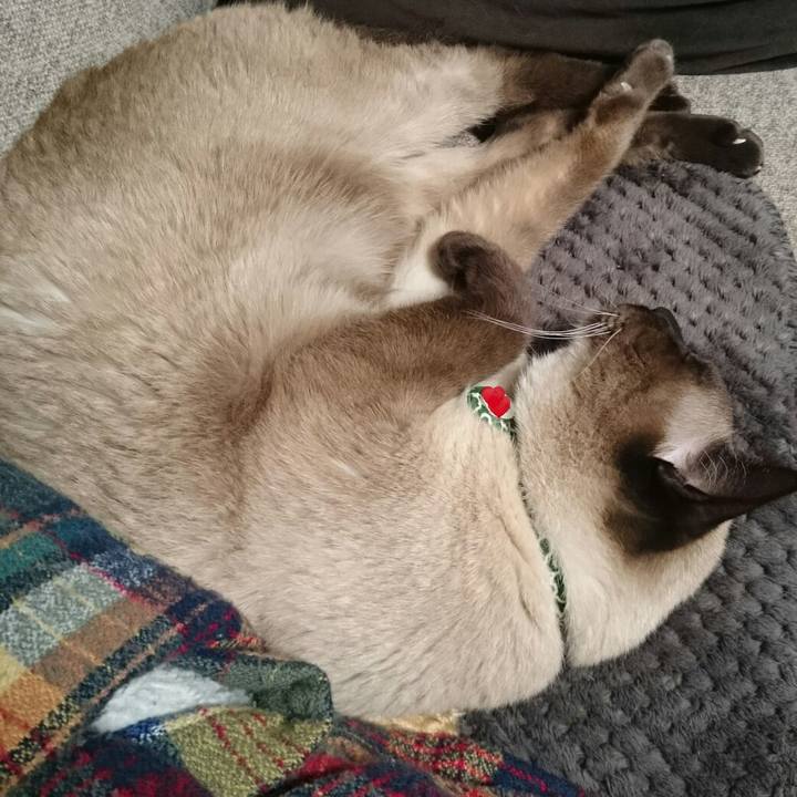 7d1ad0d0 ff86 4cf8 96ba cdd8c17807f7