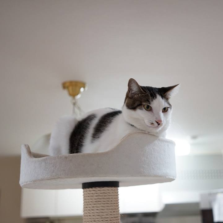 7d1b0fe9 7cc9 4614 a2cf 0b6000c60ab5